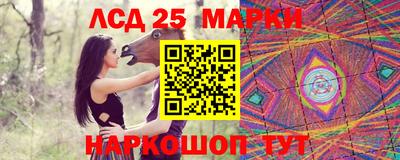 Альфа ПВП Краснознаменск
