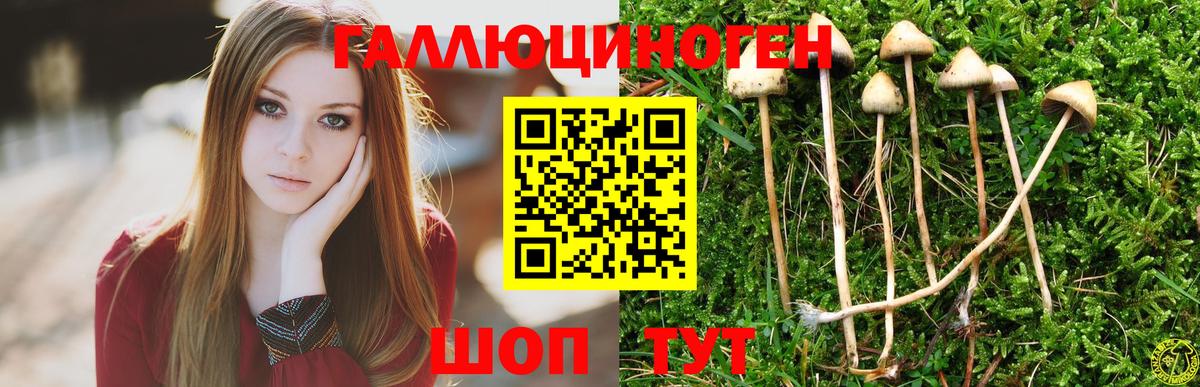 Псилоцибиновые грибы мухоморы Заводоуковск