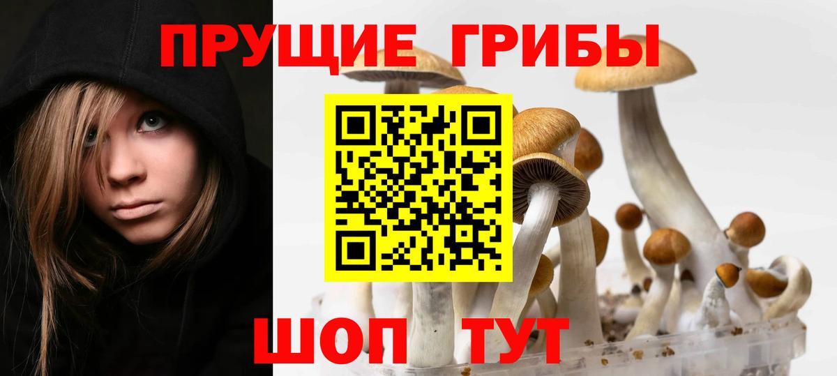 Псилоцибиновые грибы Psilocybe  Галлюциногенные грибы MAGIC MUSHROOMS  Заводоуковск  Вход с VPN 